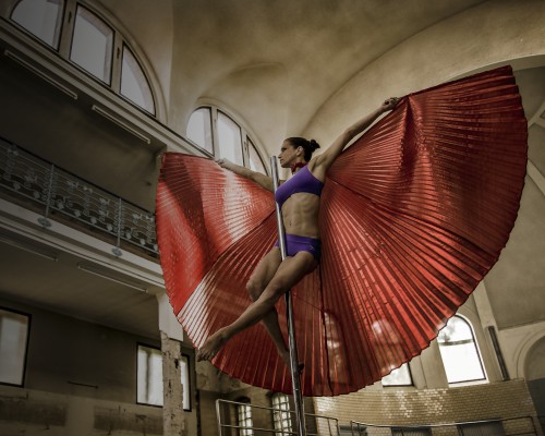 Yvonne Haug Pole Dance